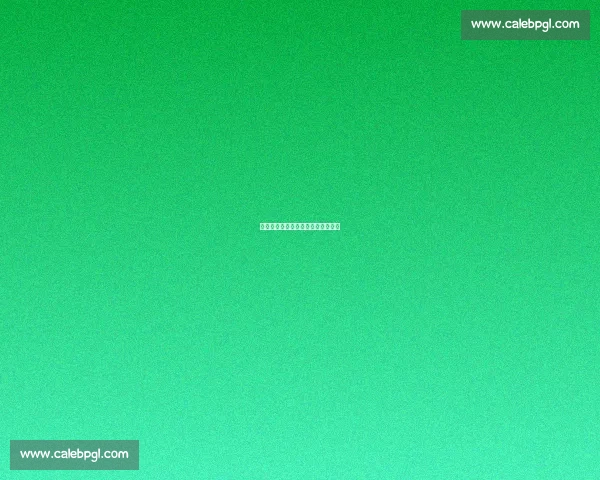 花海钎城：夏决舞台上的星光与羁绊