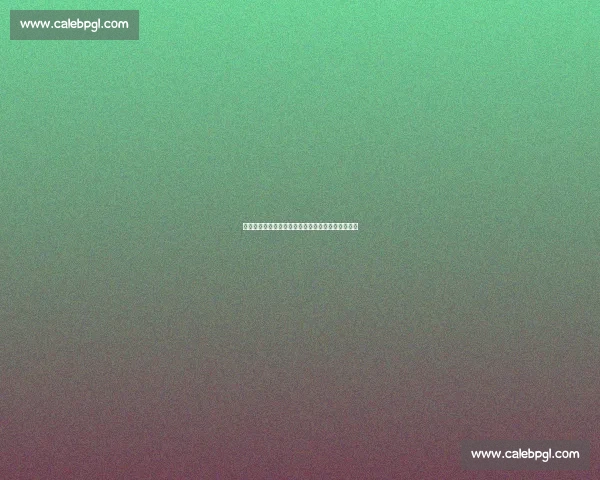 湖人百亿新主首考：詹姆斯补强与盈利平衡的生死局