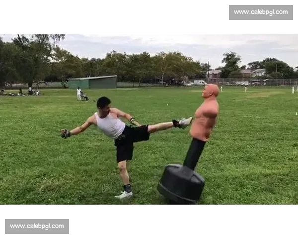 传统武当内家拳与现代散打实战体系的理念碰撞与胜负探讨深度解析 传统武当内家拳与现代散打实战体系的理念碰撞与胜负探讨深度解析